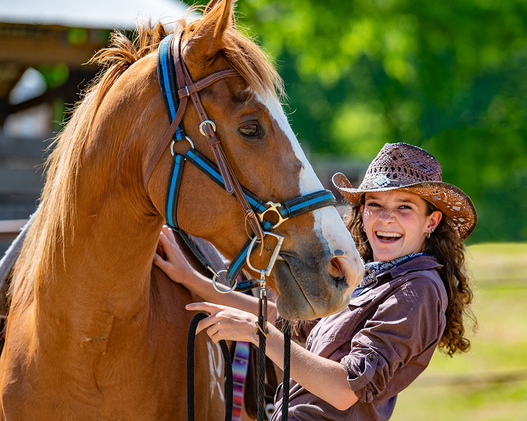 shelby farms stables blaze from cummins unit 2021 sale 2